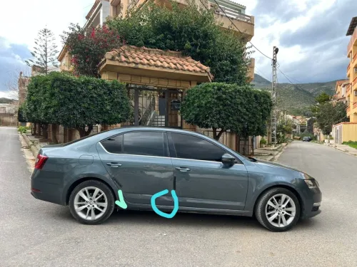 Skoda Octavia 2019 Clever