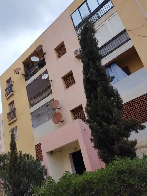 Location Appartement F4 Alger Zeralda