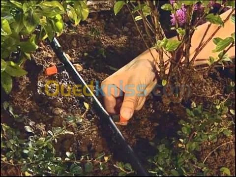 Tuyau goutte a goutte (d'irrigation).