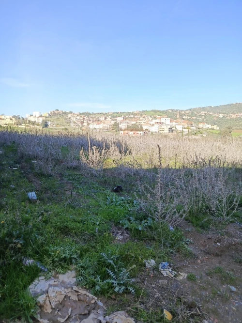 Vente Terrain Tizi Ouzou Tizi ghenif