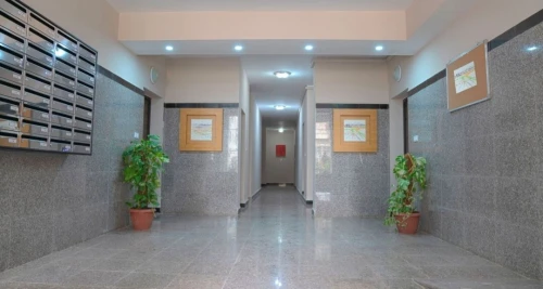 Vente Appartement F4 Alger Birkhadem