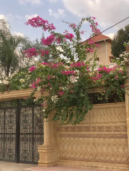 Vente Villa Blida Larbaa