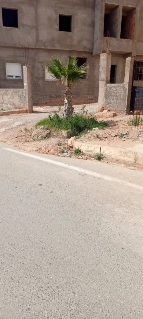 Vente Appartement F3 Ain temouchent Terga