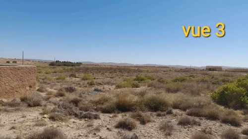 Vente Terrain Agricole Djelfa Ain el ibel