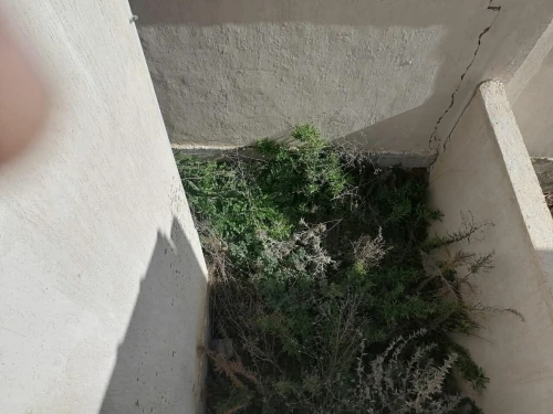 Vente Villa Constantine Constantine