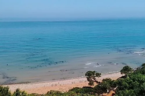 Vente Terrain Agricole Chlef Sidi abderrahmane