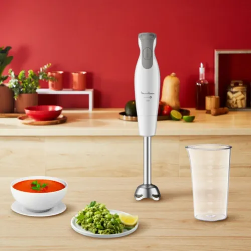 Bras Mixeur Plongeant 3en1 Moulinex DailyChef 600W - 2 Vitesses avec Hachoir, Fouet et Verre doseur
