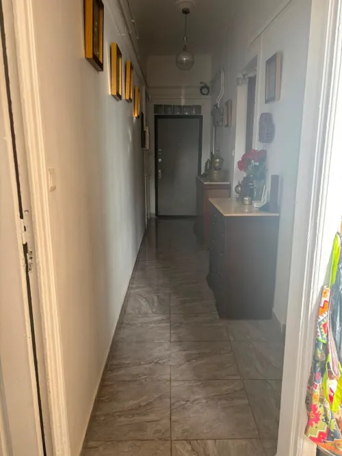 Location Appartement Studio Alger Belouizdad