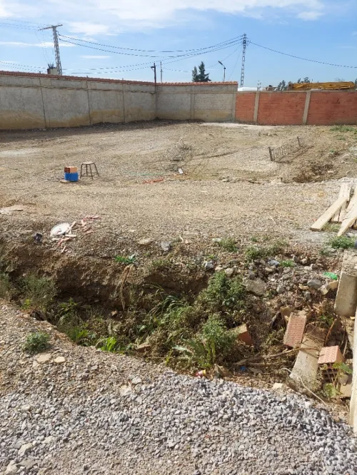 Vente Terrain Alger Tessala el merdja