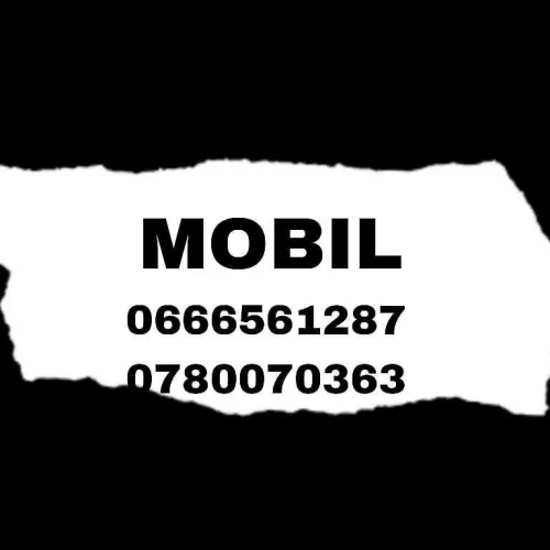 Location Hangar Blida Ouled selama