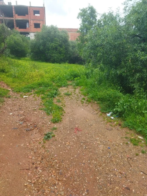 Vente Terrain Alger Ouled chebel