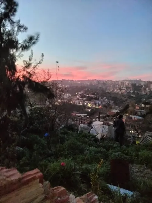 Vente Villa Alger El biar