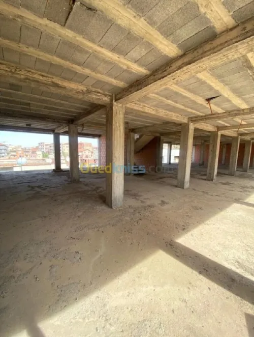 Vente Villa Alger Douera