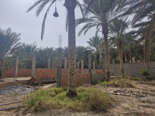 Vente Terrain Agricole Ouled Djellal Sidi Khaled