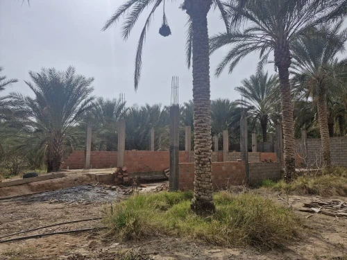 Vente Terrain Agricole Ouled Djellal Sidi Khaled