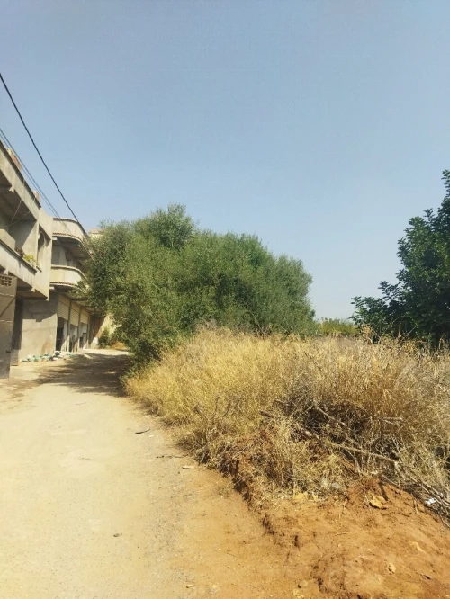 Vente Terrain Alger Douera