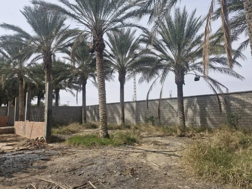 Vente Terrain Agricole Ouled Djellal Sidi Khaled