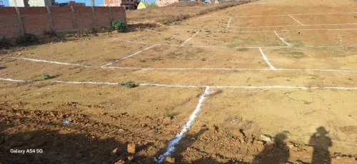 Vente Terrain Boumerdès Ouled moussa