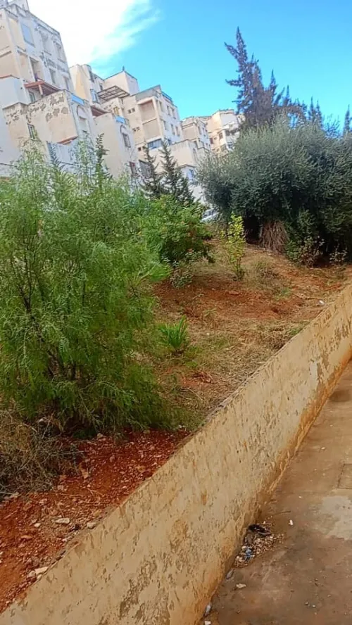 Vente Appartement F3 Tipaza Douaouda