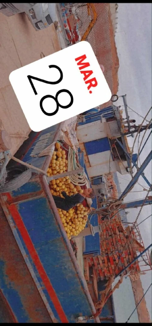 Chalutier 