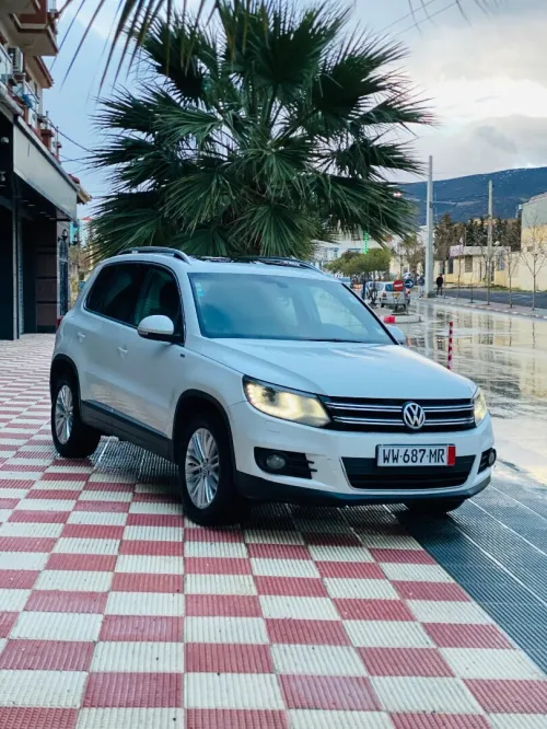 Volkswagen Tiguan 2015 Cup