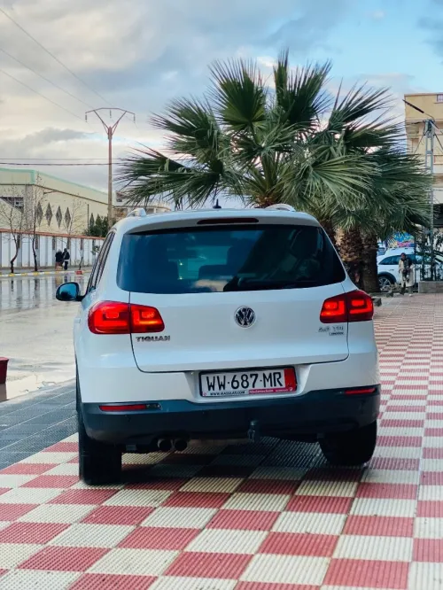 Volkswagen Tiguan 2015 Cup