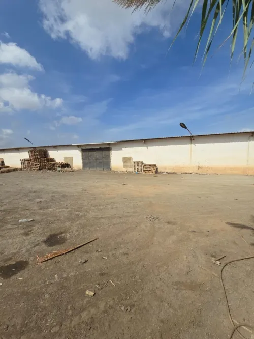 Location bien immobilier Mostaganem Sayada
