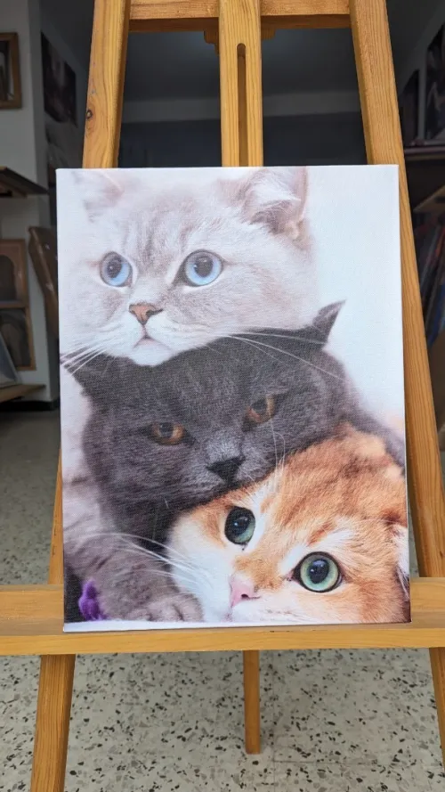 Tableaux enfants 