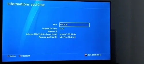 Ps4 slime