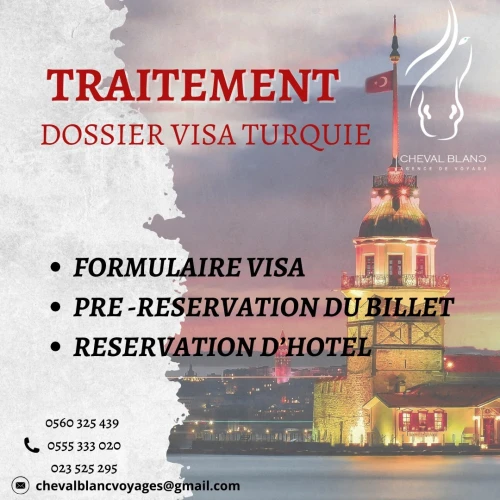 traitement de dossier visa 