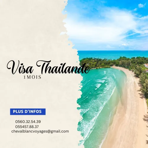 visa disponible