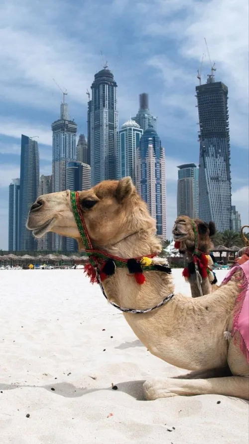 BIG PROMO - SEJOUR A QATAR / NOVEMBRE 