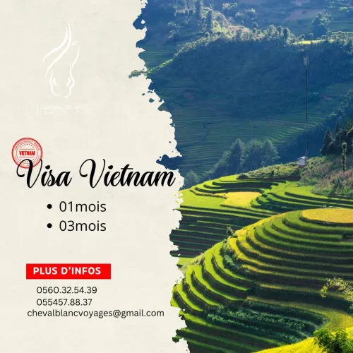 visa disponible