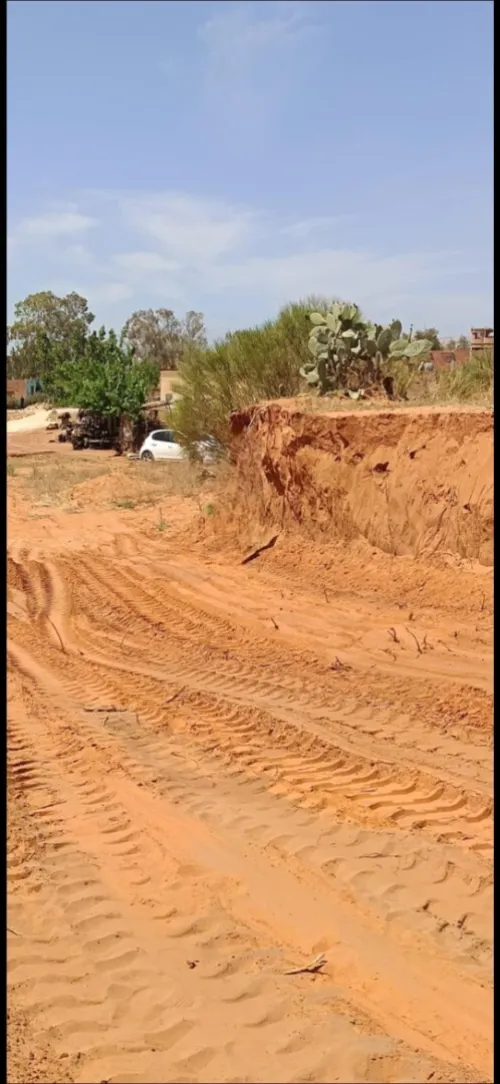 Vente Terrain Mostaganem Sirat