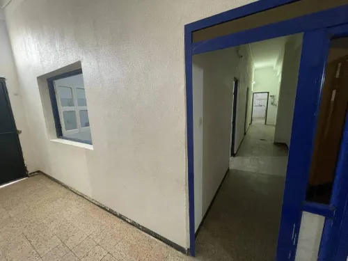 Vente Hangar - Usine Mostaganem Ain sidi cherif