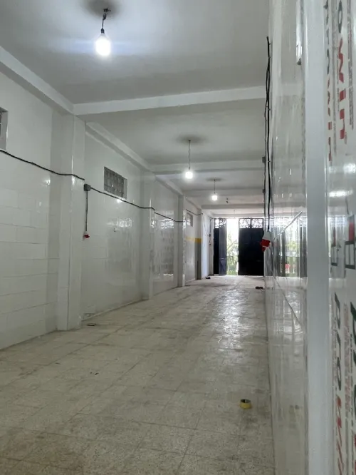 Location Local Appartement F3 Blida Mouzaia
