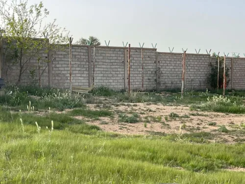 Location Terrain Bordj Bou Arreridj El achir