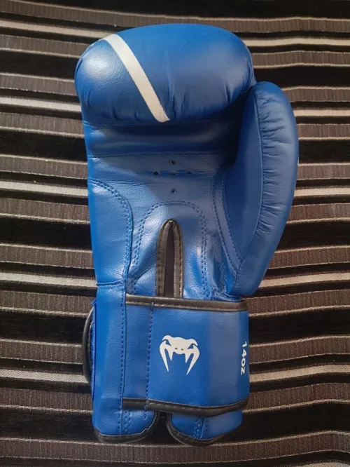 Gants de boxe Venum blue
