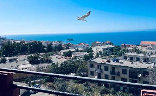 Location Appartement F3 Tizi Ouzou Tigzirt