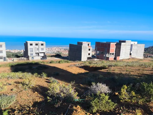 Vente Terrain Tipaza Cherchell