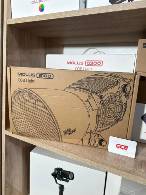 ZHIYUN MOLUS B100 COB Light