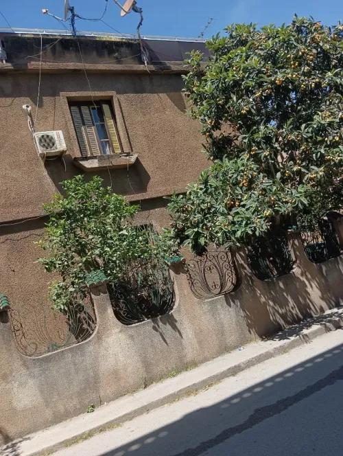 Vente Villa Annaba El hadjar