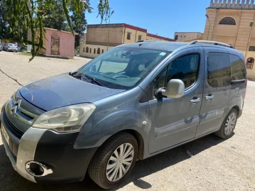 Citroen Berlingo 2009 Berlingo