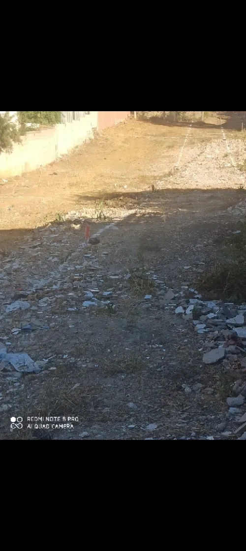 Vente Terrain Alger Douera