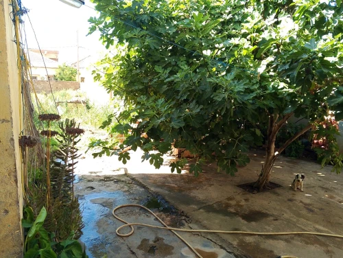 Vente Villa Tipaza Bou haroun