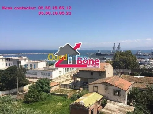 Vente Appartement F3 Annaba Annaba