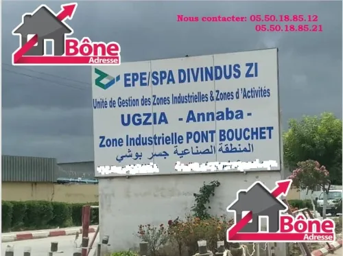 Location Hangar - Usine Annaba El hadjar