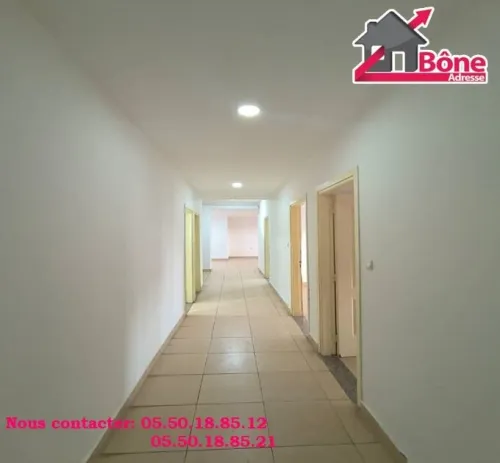 Location Appartement F4 Annaba Annaba