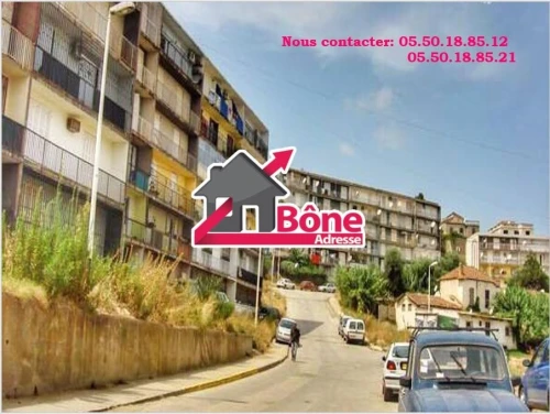 Location Appartement F3 Annaba Annaba