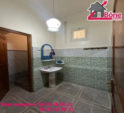 Location Appartement F3 Annaba Annaba